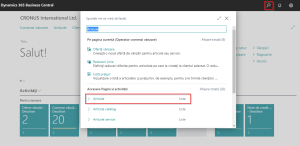 Business-Central-Cautare-lista-articole