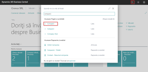 Dynamics-Business-Central-Navision-Cautare-companii