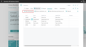 Dynamics-Business-Central-Pagina-coduri-dimensiuni