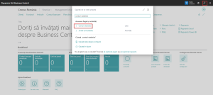 Dynamics Business Central - Căutare Pagină Conturi Statistice