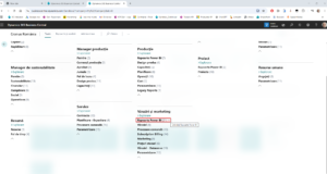 Dynamics Business Central - Extindere vizualizare rapoarte Power BI -Vânzări și marketing