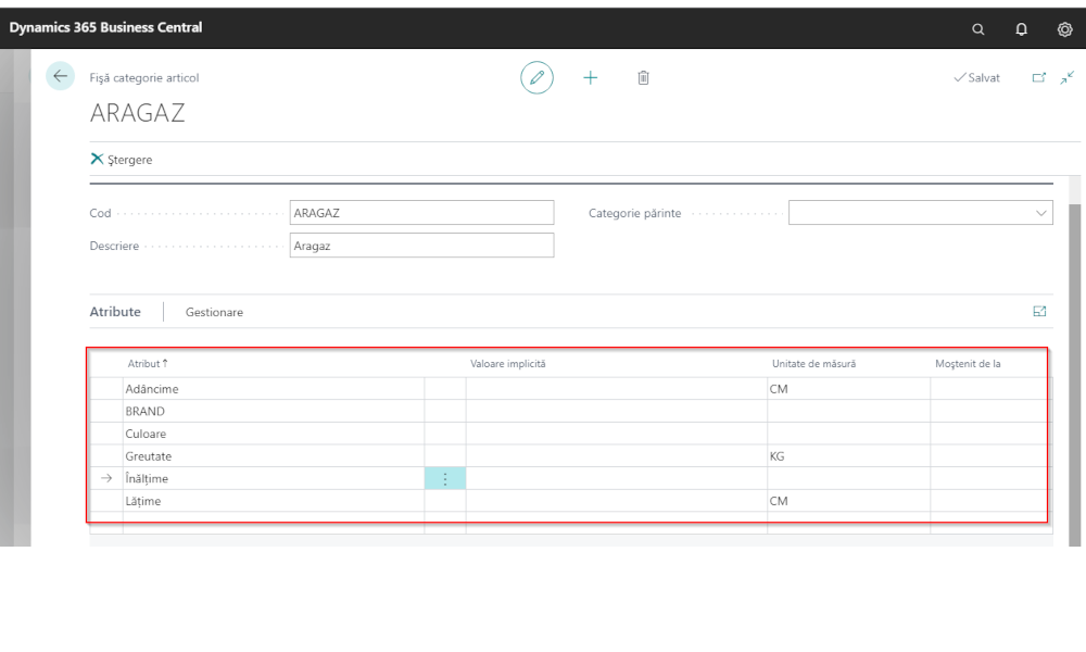 Dynamics-Business-Central-Fisa-categorie - Elian Solutions