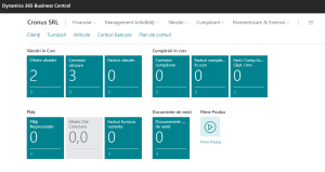 Dynamics Business Central-Pagina-principala